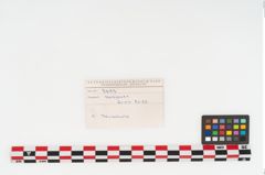 Etikett zu Keramikschale (NHMW-PRAE-003493)